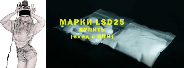 шишки Алексин