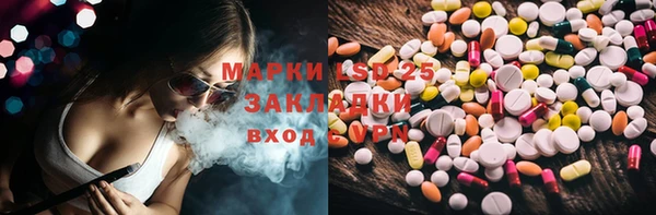 шишки Алексин