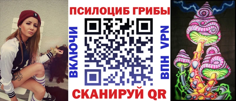 Псилоцибиновые грибы MAGIC MUSHROOMS  darknet какой сайт  Катайск 